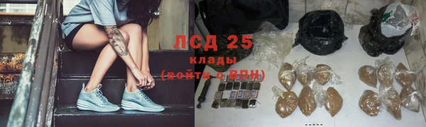 прущие грибы Михайловск