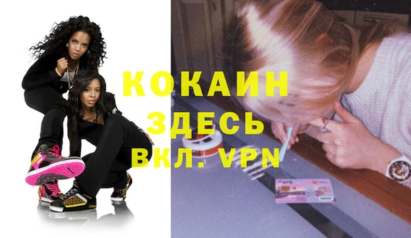 прущие грибы Михайловск