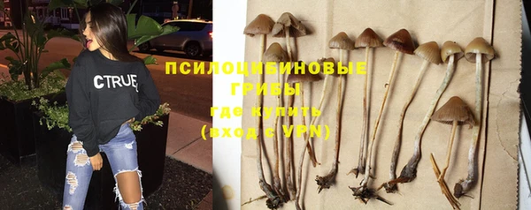 эйфоретик Надым