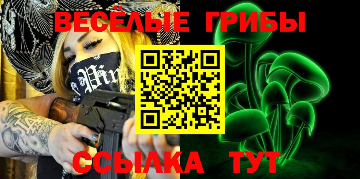Заволжье  Псилоцибиновые грибы Psilocybine cubensis  Вход с VPN  Псилоцибиновые грибы ЛСД 