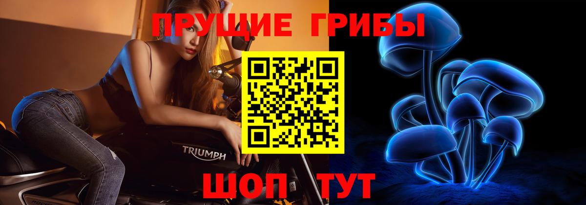 Псилоцибиновые грибы ЛСД Заволжье