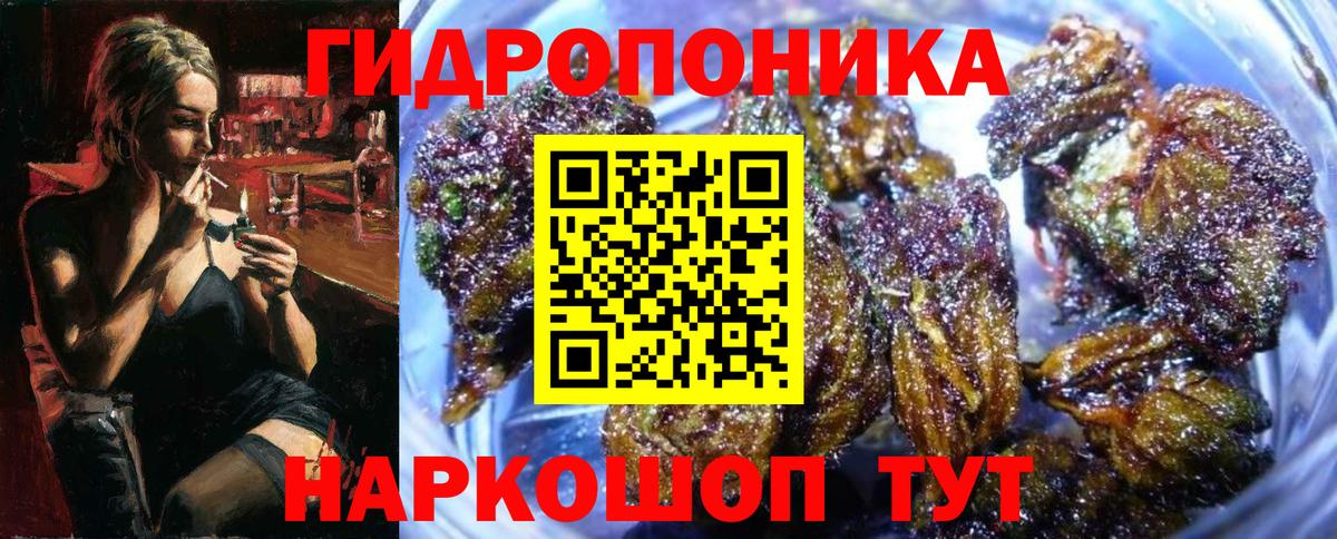 Канабис OG Kush  Каннабис Amnesia  Заволжье 